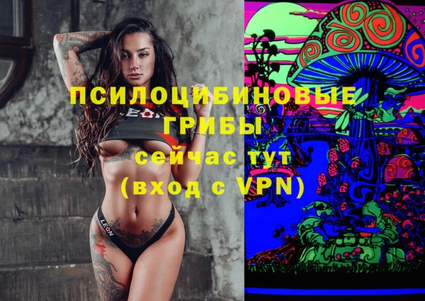круглые Арсеньев