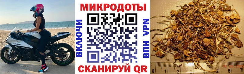 кракен tor  Бирюч  Галлюциногенные грибы Psilocybe 